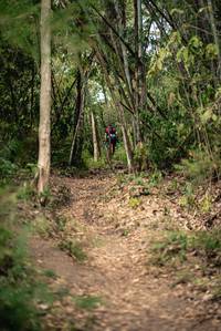 BIB: 
                            <button type="button" onclick="openModal(22242917)" class="btn btn-primary btn-sm float-right btn-popup" data-toggle="modal" data-target=".modal-high-quality">
                        <i class="fas fa-shopping-cart"></i> Add to Cart
                    </button>
                                            <button type="button" onclick="isThisMe(22242917, true)" class="btn btn-success btn-sm float-right btn-popup btn-isme hidden" data-toggle="tooltip" data-placement="bottom" title="นี่คือรูปของคุณใช่ไหม คลิกที่นี่เพื่อเอาเข้าอัลบั้ม">
                        <i class="fas fa-plus"></i> Add to album
                    </button>
                    <button type="button" onclick="isThisMe(22242917, false)" class="btn btn-warning btn-sm float-right btn-popup btn-isnotme hidden">
                        <i class="fas fa-ban"></i> Remove from album
                    </button>